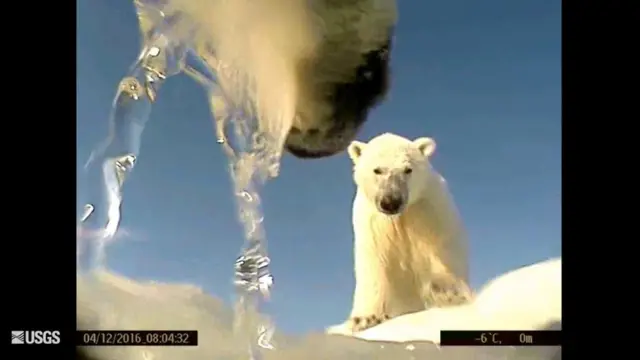La vista subjetiva de una de las cámaras usadas en el estudio. (Foto: USGS)