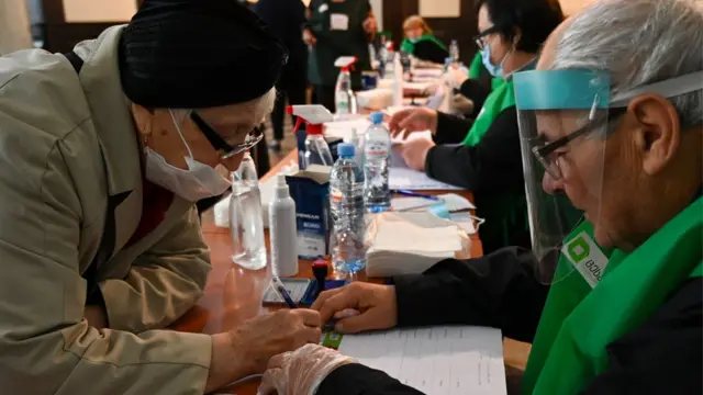 Голосование в Грузии