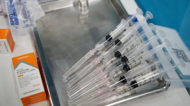 สายพันธุ์ไทย