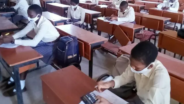 Ụmụakwụkwọ Sekọndrị