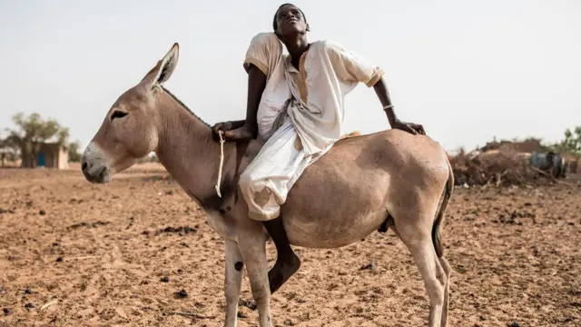 Un jeune éleveur peul est assis sur son âne dans le village de Mbetiou Peulh, le 29 mai 2020.