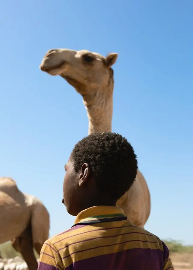 Garçon debout à côté d'un chameau