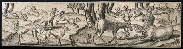 Los animales conocidos... (Imagen: Wellcome Collection)