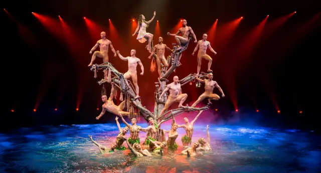 Сцена из шоу Le Reve