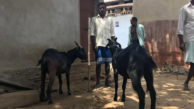 हरिलाल बेदिया