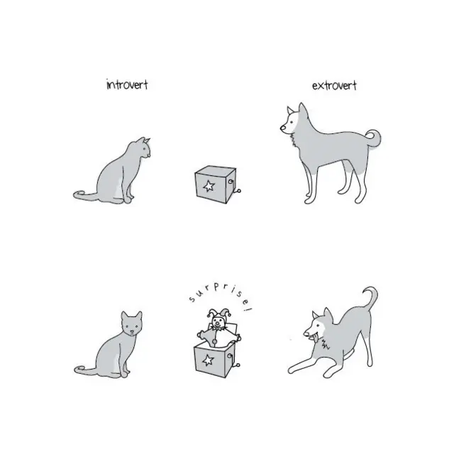 Un gato y un perro reaccionando ante una sorpresa.