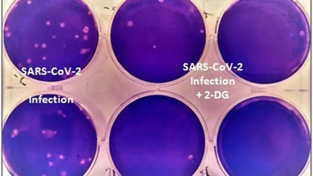 ડીઆરડીઓ નિર્મિત આ દવા સંક્રમણ ઘટાડતી હોવાનો દાવો કરવામાં આવ્યો છે.