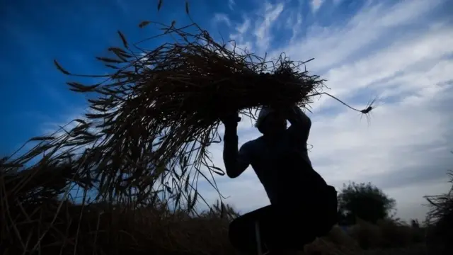 कोरोना वायरस