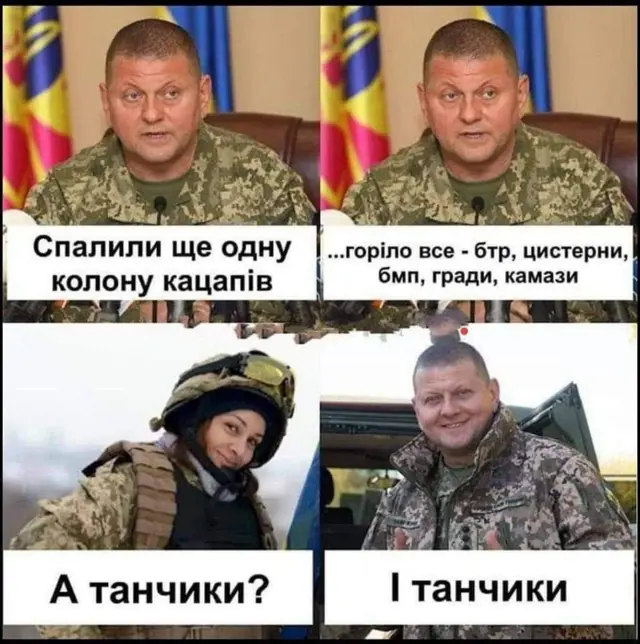 колаж Залужний