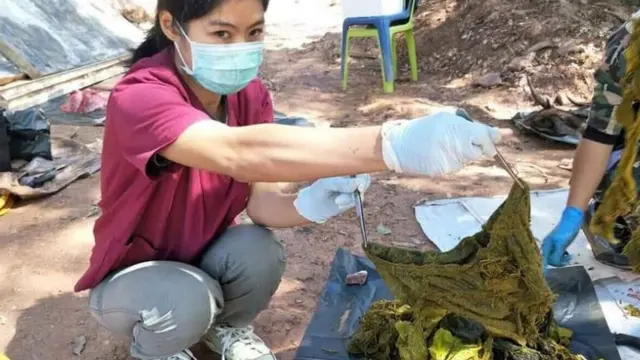 Petugas menunjukkan celana dalam, salah satu sampah dari 7 kg sampah dari perut rusa.