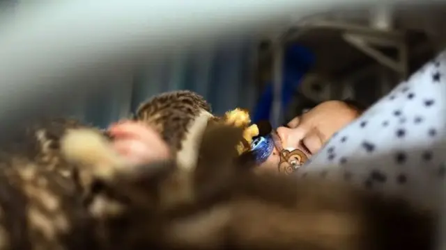 hastanede yatan bir çocuk