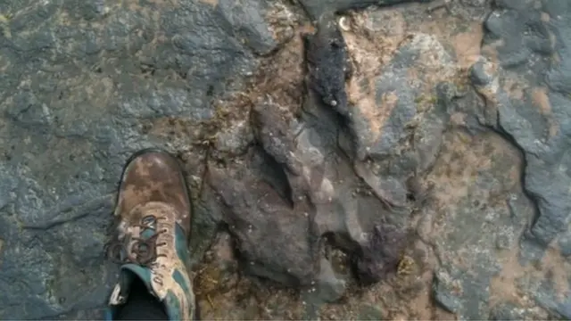 මහජනයාට දැක ගැනීම සඳහා විවෘතව පැවති පාද සටහන විනාශ කිරීමට ප්‍රථම