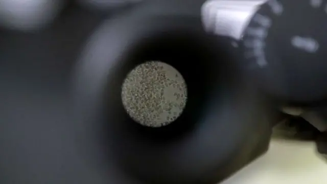 قد تبقى خلايا تي في الجسم لسنوات بعد التعافي من الإصابة