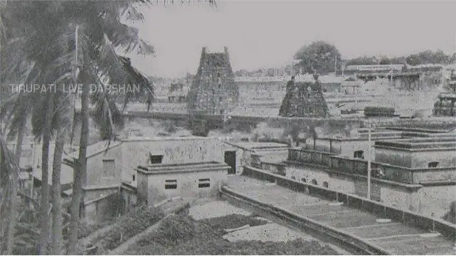 తిరుమల:దశాబ్దాలుగా వివాదంలో ఉన్న ఆస్తులు కూడా ఉన్నాయి.