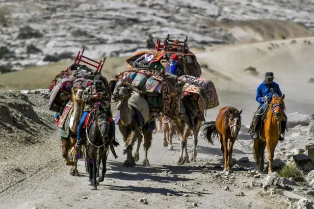 অনেক কাযাখ পশুপালক চীনে থেকে যান, মিশে যান স্থানীয় উইঘুর মুসলিমদের সঙ্গে