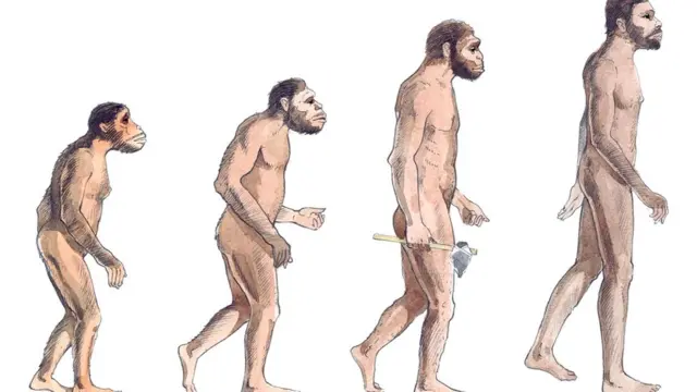 На протяжении миллионов лет гоминины передвигались в вертикальном положении