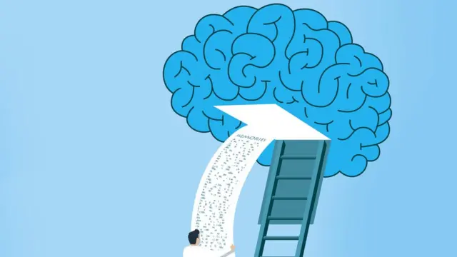 Ilustración de un cerebro