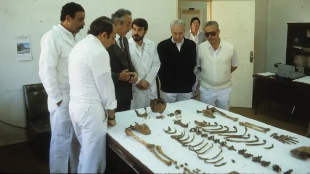 Cientistas olham para ossos