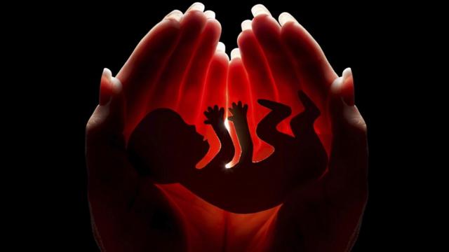 Эмбрион на фоне женских рук