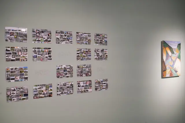 Робота Лади Наконечної "Град"