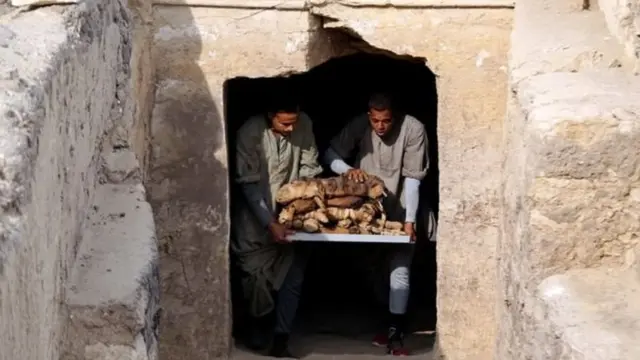 பூனையின் 'மம்மி': நான்காயிரம் ஆண்டு சுவாரஸ்யம்