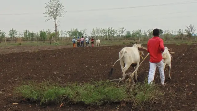 హక్కుల కోసం నాడు ఆదివాసులు ఉద్యమించారు