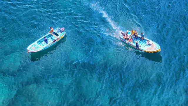 விஜயநாயகம்