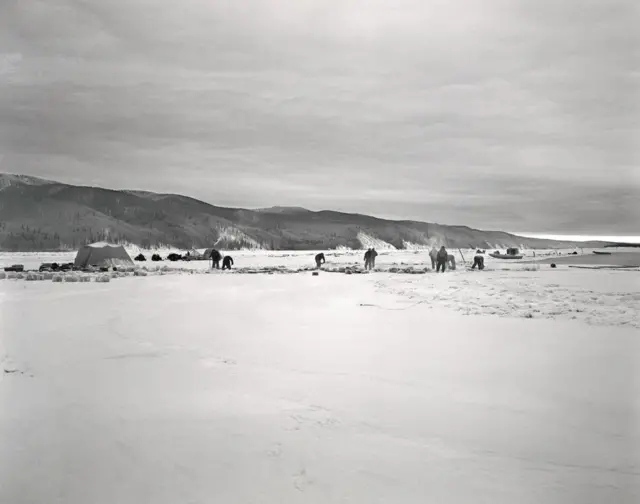 Search for Andrew Henry