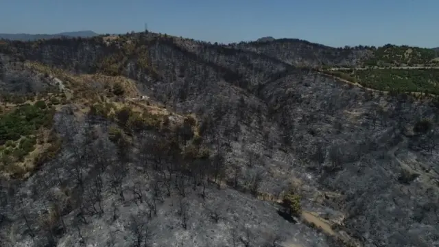 yangından etkilenen bölge
