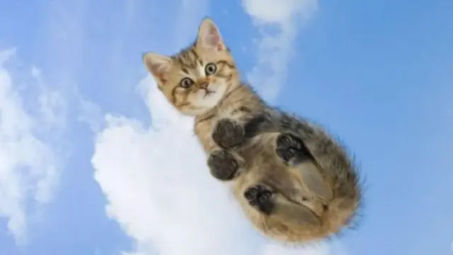 Ga 'yar mage, idan kana bukata