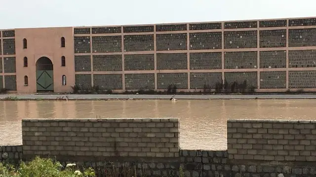 Manni amala sirreessaa haaraa naannoo sana jirullee lolaan miidhameera