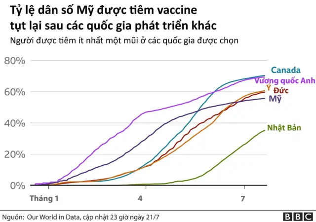 Hiệu Lực và Hiệu Quả của Vaccine