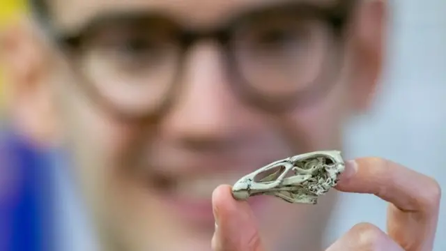 Дэниел Филд надеется на новые громкие открытия