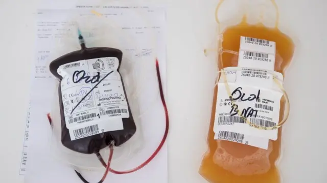 ప్లాస్మాలో యాంటీబాడీలుంటాయి.