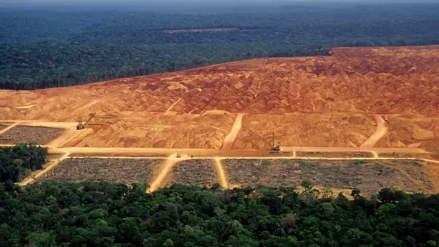 Desmatamento na floresta amazônica