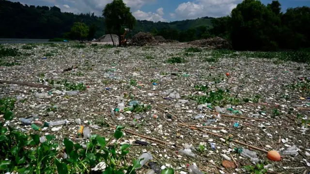 Lago cheioarbety afiliados loginlixo