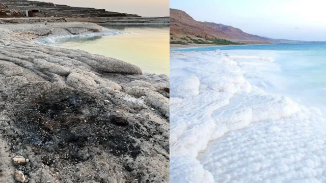 صور متداولة تظهر نفايات على شاطئ عام في البحر الميّت في الأردن