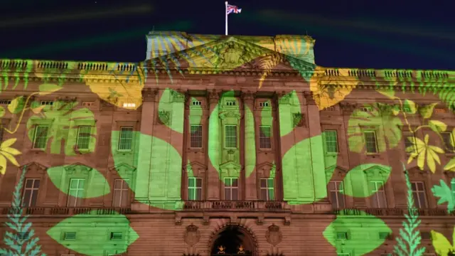 Rainforest design ontop di wall of Buckingham Palace for London