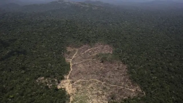 अमेज़न, जनजातियां