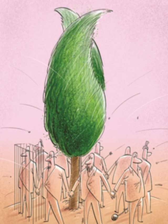 کارتون بزرگمهر حسین پور، شهروند