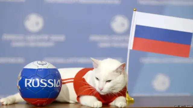 विश्व फुटबॉल कप