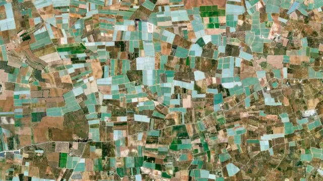 Google Earth