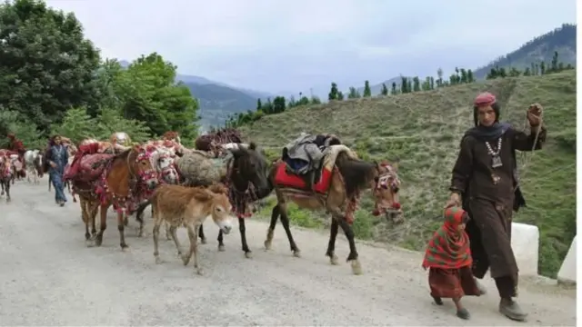 कठुआ रेप, जम्मू