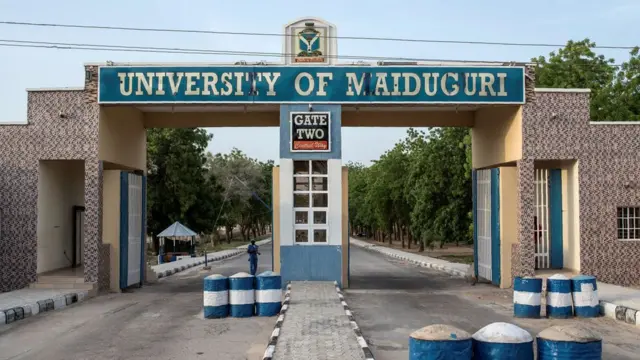 Abawọle fasiti Maiduguri