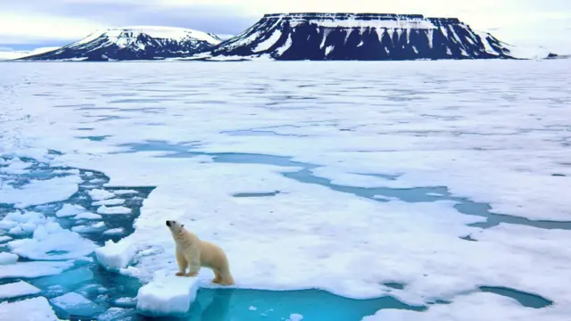 பருவ நிலை மாற்றம்: அதிமுக்கிய ஆய்வுக்கு அமெரிக்கா உள்ளிட்ட நாடுகள் எதிர்ப்பு