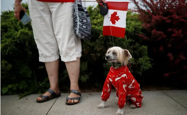 टोरंटो में आयोजित परेड में भाग लेते लोग