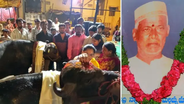 సదర్ ఉత్సవం