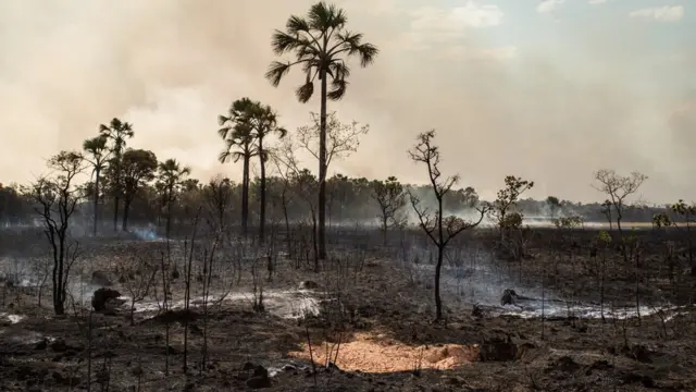 Área atingida por incêndio da Chapada dos Veadeiros