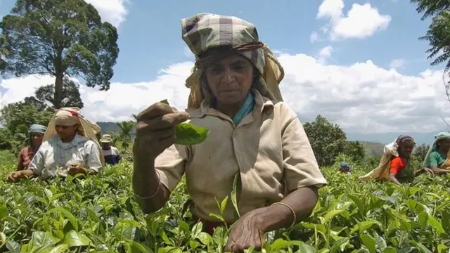 மலையக மக்கள்