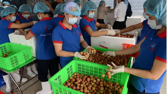 Trong mức tăng chung của toàn nền kinh tế 6 tháng đầu năm, khu vực nông, lâm nghiệp và thủy sản tăng 2,78% (đóng góp 5%)